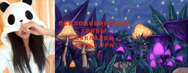 apvp Бронницы
